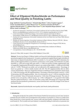 Effect of Zilpaterol Hydrochloride on Performance and Meat Quality In