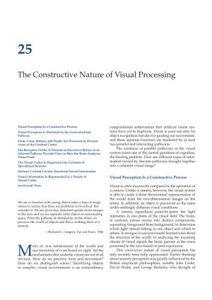 The Constructive Nature of Visual Processing