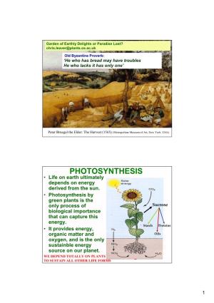 PHOTOSYNTHESIS • Life on Earth Ultimately Depends on Energy Derived from the Sun