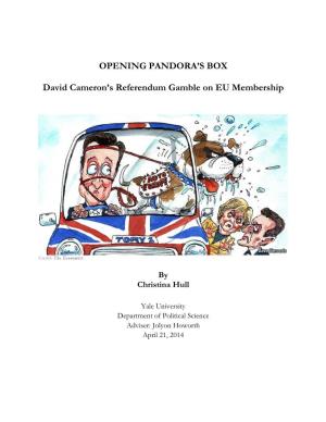 OPENING PANDORA's BOX David Cameron's Referendum Gamble On