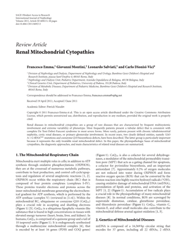 Renal Mitochondrial Cytopathies