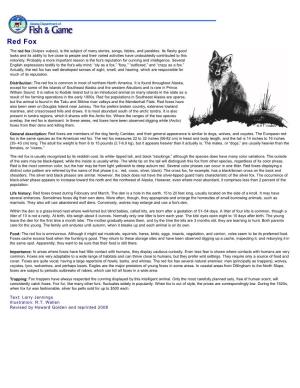 Red Fox: Wildlife Notebook Series