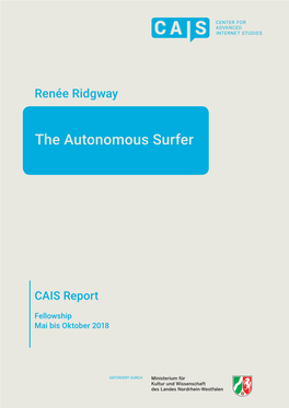 The Autonomous Surfer