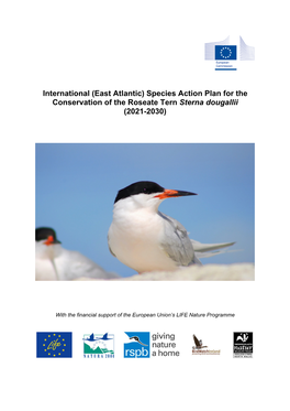 East Atlantic) Species Action Plan for the Conservation of the Roseate Tern Sterna Dougallii (2021-2030