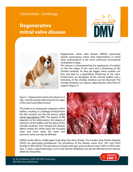 Degenerative Mitral Valve Disease