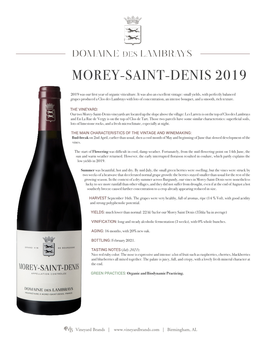 Morey-Saint-Denis 2019
