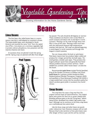 Lima Beans Snap Beans Pod Types