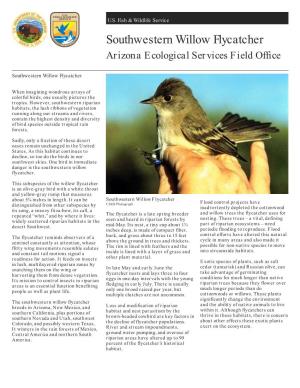 Southwestern Willow Flycatcher Arizona Ecological Services Field Office