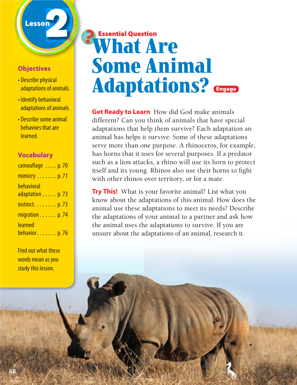 What Are Some Animal Adaptations? Animals Rely on Physical Adaptations, Instincts, and Learned Behaviors to Survive in Their Environments