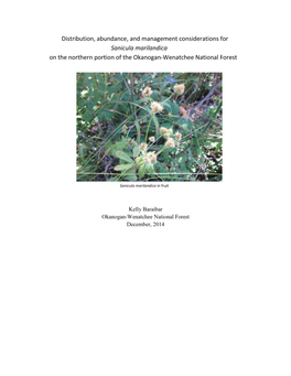 Distribution, Abundance, and Management Considerations for Sanicula Marilandica on the Northern Portion of the Okanogan-Wenatchee National Forest