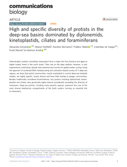 High and Specific Diversity of Protists in the Deep-Sea Basins Dominated
