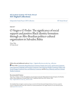 O Negro E O Poder: the Significance of Social Support and Positive Black Identity Formation Through an Afro-Brazilian Politico-C