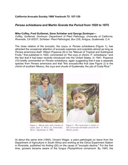 Persea Schiedeana and Martin Grande the Period from 1920 to 1975