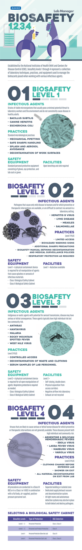 Biosafety Level 2 01Biosafety Level 1 03Biosafety Level 3 Biosafety Level 4