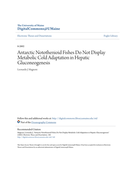 Antarctic Notothenioid Fishes Do Not Display Metabolic Cold Adaptation in Hepatic Gluconeogenesis Leonardo J
