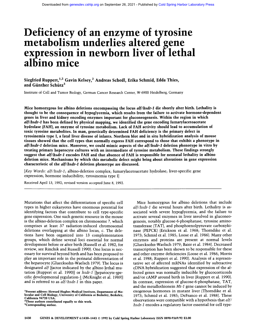 Deficiency of an Enzyme of Tyrosine Metabolism Underlies Altered Gene Exp.Resslo.N