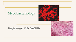Mycobacteriology