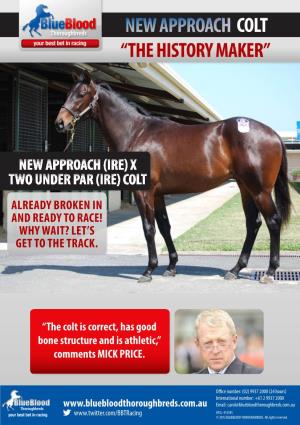 New Approach Colt “The History Maker”