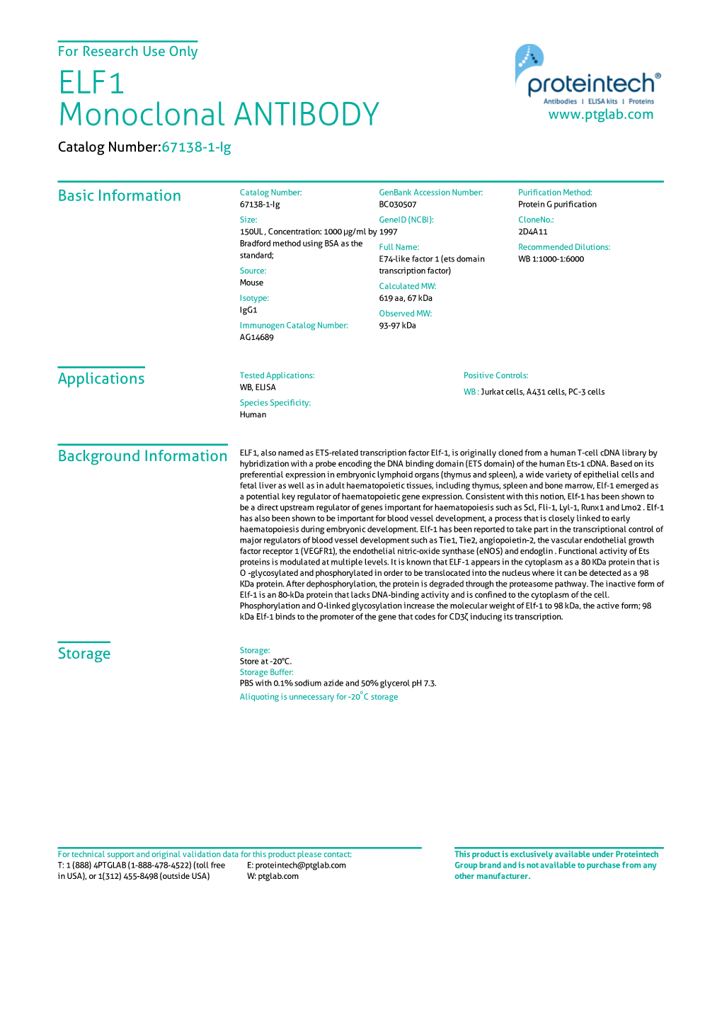 ELF1 Monoclonal ANTIBODY Catalog Number:67138-1-Ig