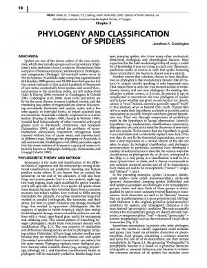 Phylogeny and Classification of Spiders