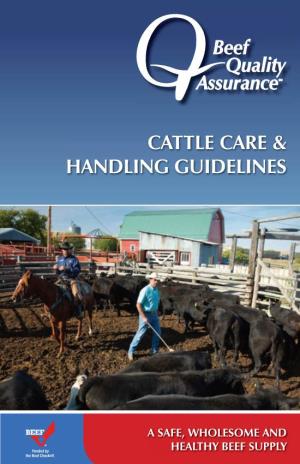 Cattle Care & Handling Guidelines