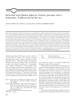 Ischemia-Reperfusion Injury in Chronic Pressure Ulcer Formation: a Skin Model in the Rat