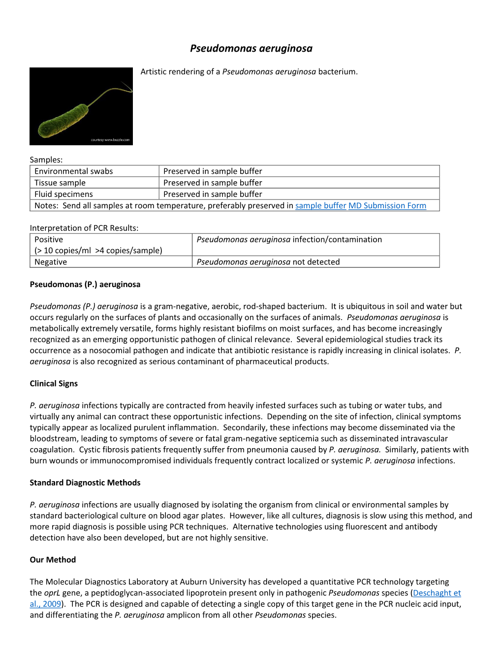 Pseudomonas Aeruginosa