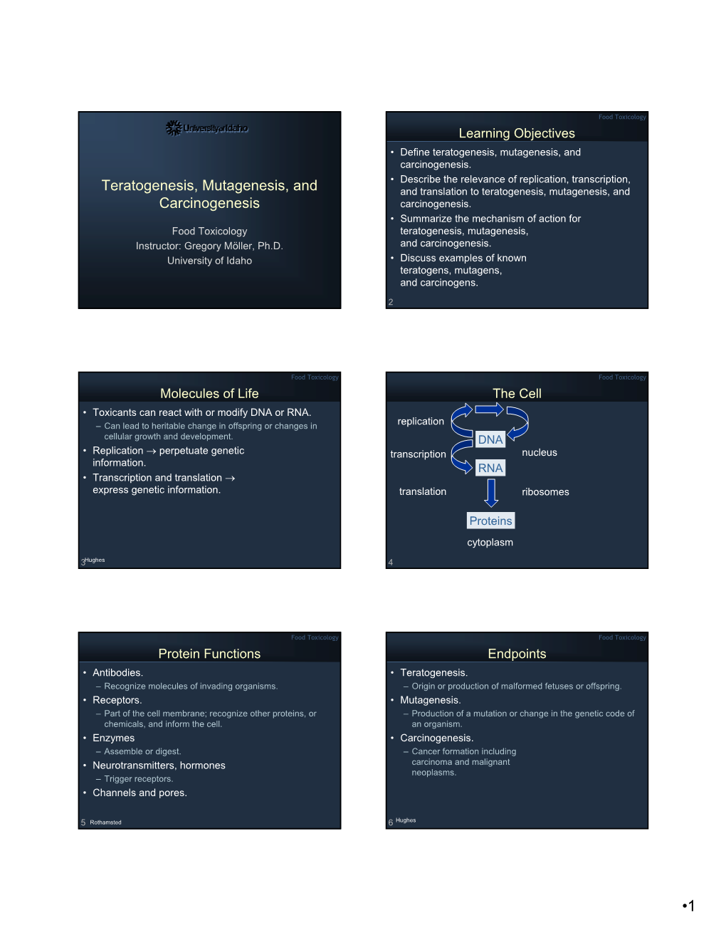 Teratogenesis, Mutagenesis, and Carcinogenesis