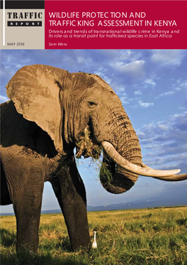 Wildlife Protection and Trafficking Assessment in Kenya: Drivers And