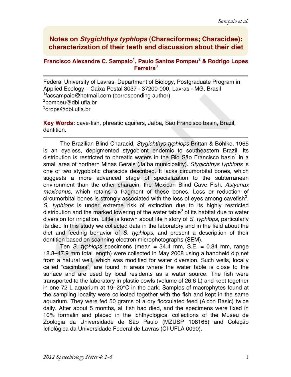 Notes on Stygichthys Typhlops (Characiformes; Characidae): Characterization of Their Teeth and Discussion About Their Diet