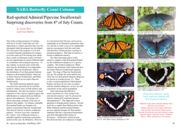 Count Column: Red-Spotted Admiral/Pipevine Swallowtail