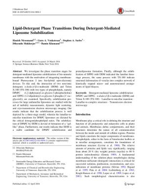 Lipid-Detergent Phase Transitions During Detergent-Mediated Liposome Solubilization