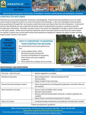 CONSTRUCTED WETLANDS Wetlands Treat Stormwater Physically, Chemically, and Biologically