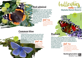 8 SKYLARKS Factsheet Butterflies (For Print).Pdf