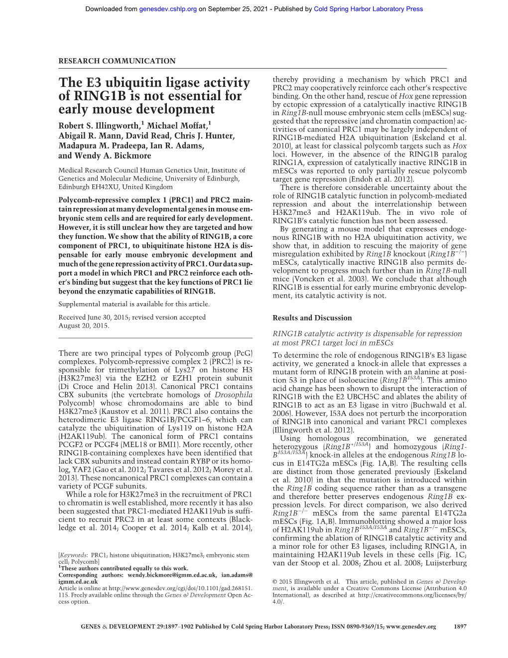 The E3 Ubiquitin Ligase Activity of RING1B Is Not Essential for Early Mouse Embryo Development