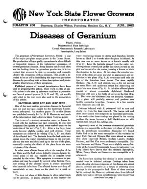 Diseases of Geranium