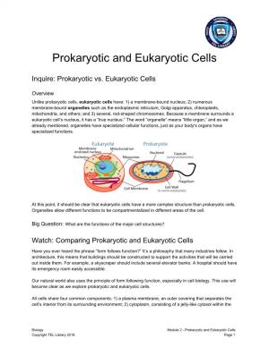 Prokaryotic and Eukaryotic Cells