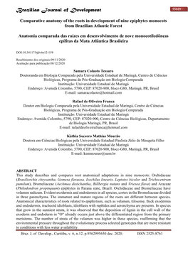 Comparative Anatomy of the Roots in Development of Nine Epiphytes Monocots from Brazilian Atlantic Forest