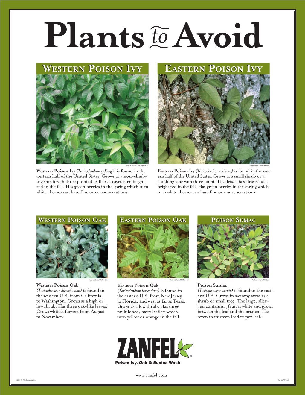 ZAN406-Plant ID Poster 20120201