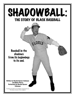 Baseball in the Shadows from Its Beginnings to Its End