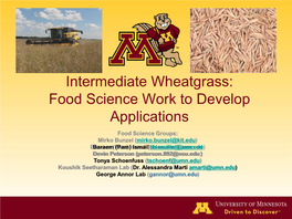 Intermediate Wheatgrass: Food Science Work To