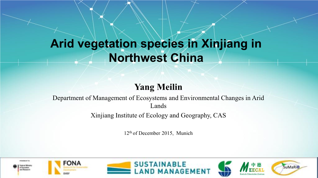 Arid Vegetation Species in Xinjiang in Northwest China