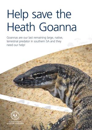 Help Save the Heath Goanna Report Sightings • Report Any Sightings of Alive Or Dead Goannas to We Need to Know Where Goannas Are in Order to Help Them