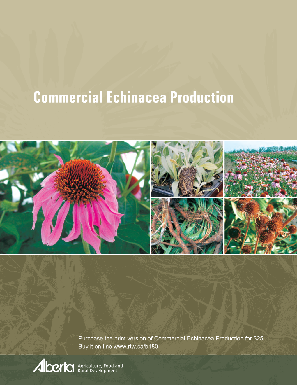 Commercial Echinacea Production