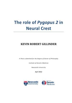 The Role of Pygopus 2 in Neural Crest
