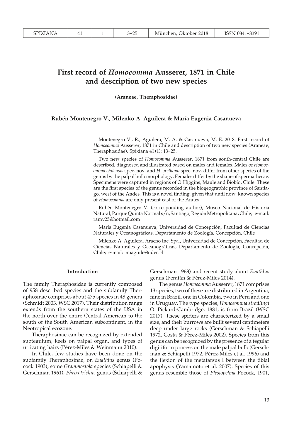 First Record of Homoeomma Ausserer, 1871 in Chile and Description of Two New Species