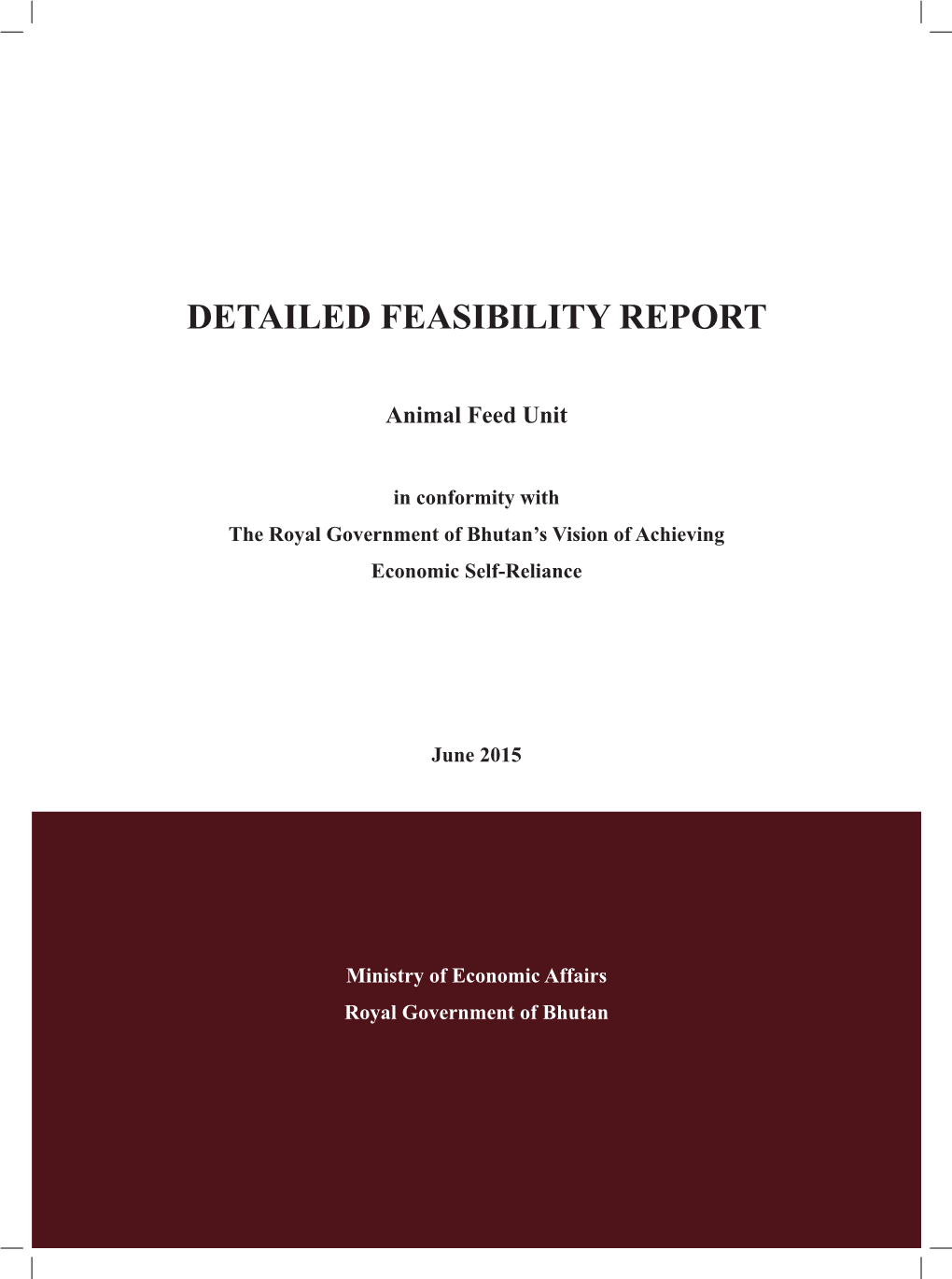 Detailed Feasibility Report