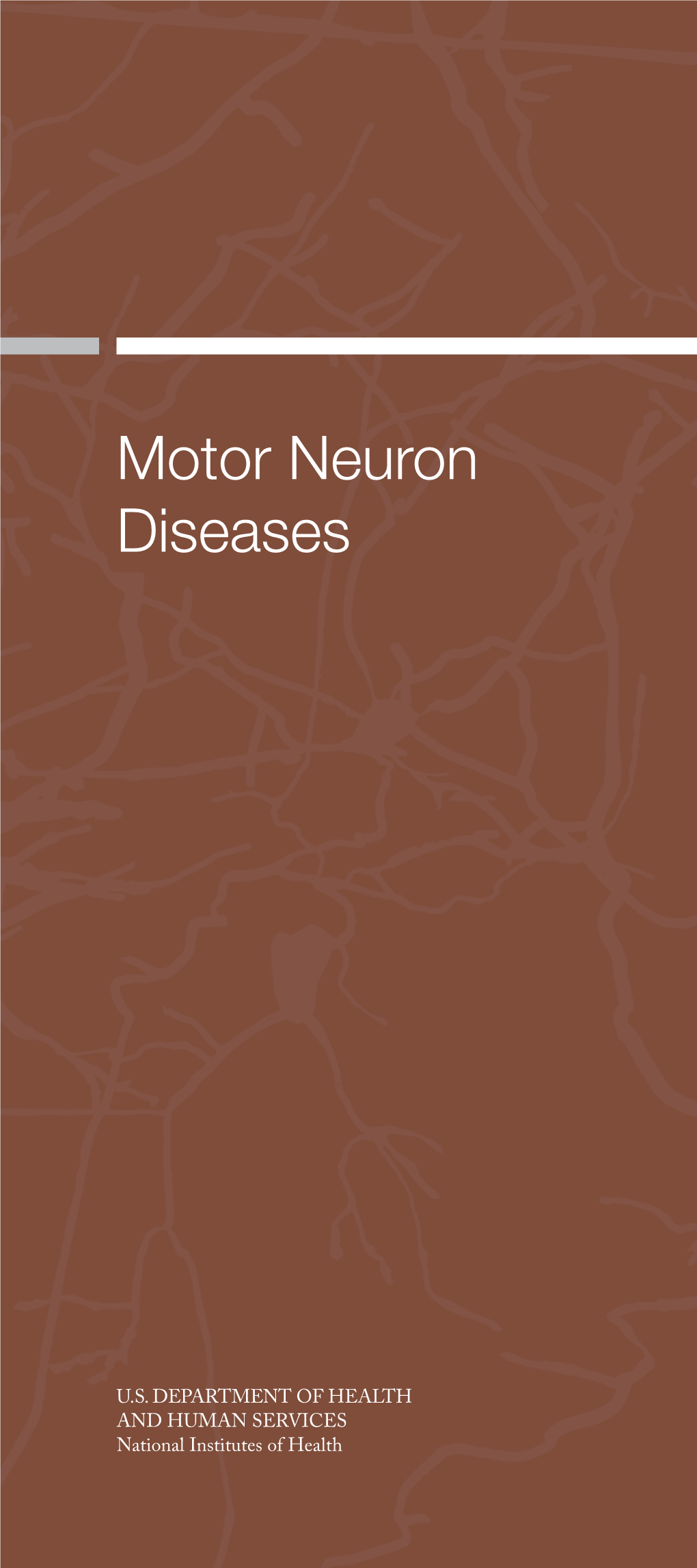 Motor Neuron Diseases