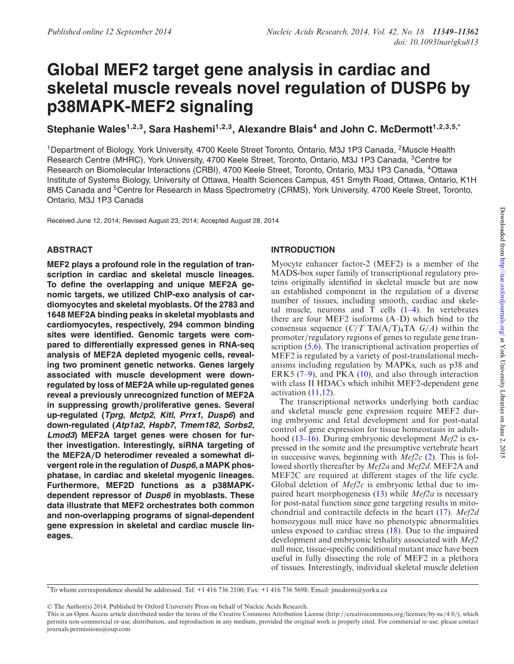 Global MEF2 Target Gene Analysis In