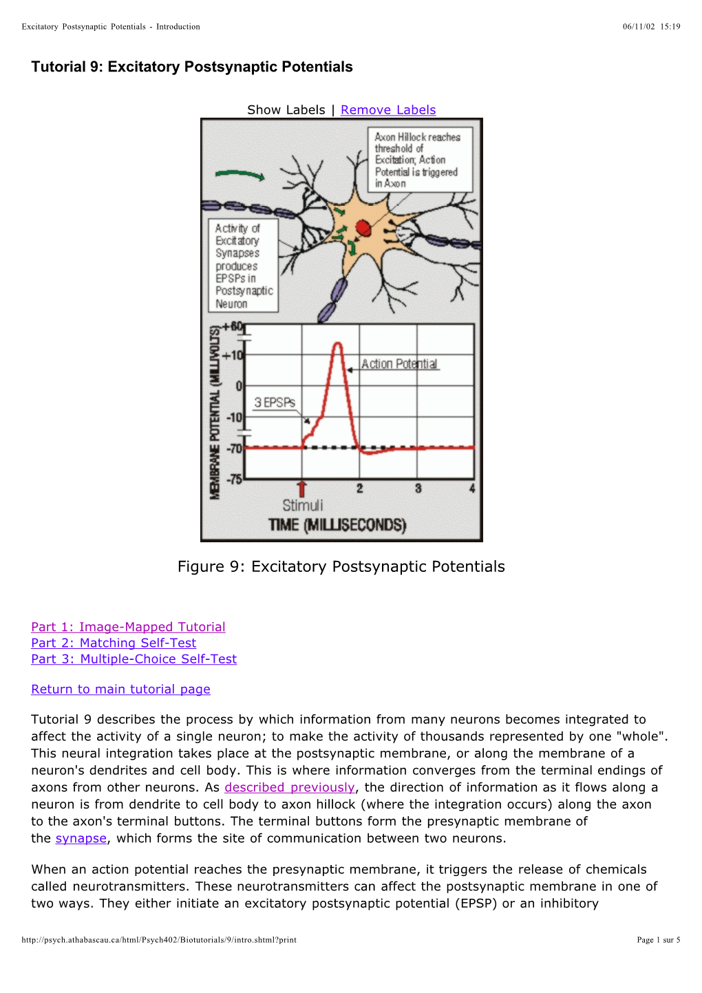 Tutorial 9: Excitatory Postsynaptic Potentials Figure 9: Excitatory